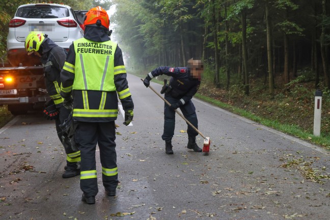 Auto gegen Baum: PKW-Lenker bei schwerem Verkehrsunfall in einem Waldst�ck in Krenglbach verletzt