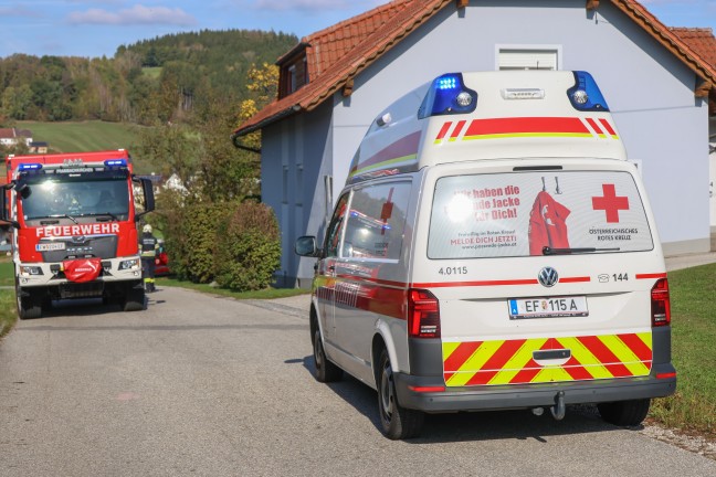 Brand in einem Hofladengeb�ude in Prambachkirchen sorgte f�r Einsatz zweier Feuerwehren