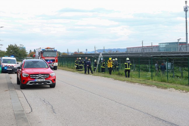 Brand auf dem Gel�nde einer gro�en Photovoltaikanlage in Wels-Vogelweide