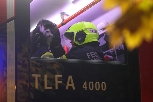 Kellerbrand: Vier Feuerwehren bei Brand in einem Wohnhaus in Ansfelden im Einsatz