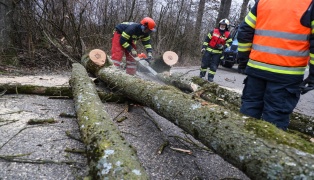 Sturmböen sorgen für mehrere Einsätze der Feuerwehren in Oberösterreich