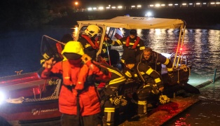 Bootseinsatz: Feuerwehr befreit Schwan auf der Traun in Thalheim bei Wels von eingehängtem Ast