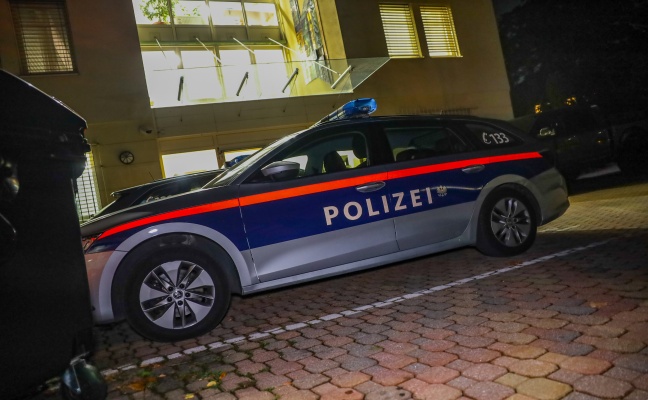 Alarmfahndung und Großeinsatz der Polizei nach möglicher Kindesentführung in Ohlsdorf