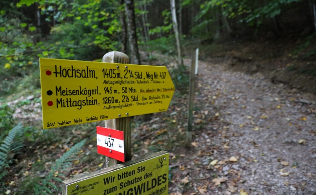 Tödlicher Alpinunfall: Wanderin (34) am Meisenkögerl bei Scharnstein über Felswand abgestürzt