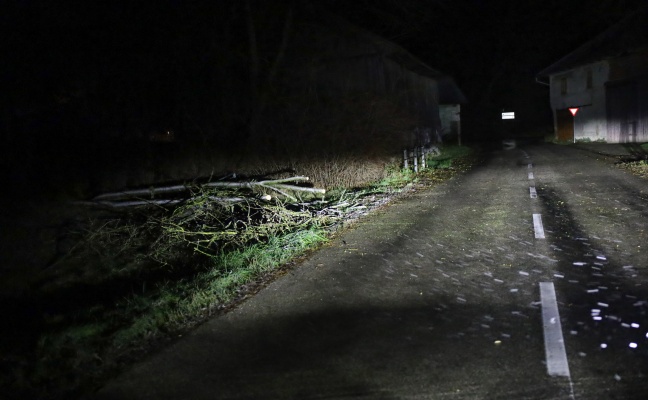 Umgestürzer Baum blockierte Straße in Neukirchen bei Lambach