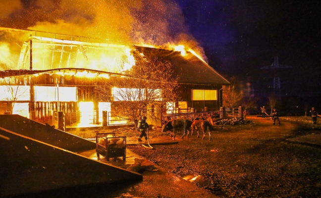 Stall in Vollbrand: Elf Feuerwehren bei Großbrand eines Stalls in Kematen an der Krems im Einsatz
