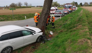 Lenker verletzt: Auto bei Verkehrsunfall in Thalheim bei Wels frontal gegen Baum gekracht