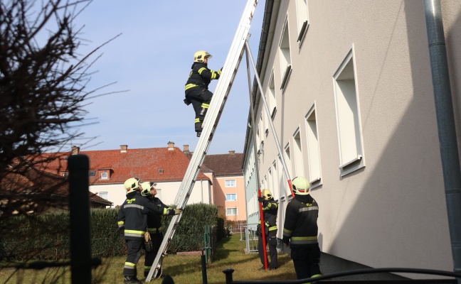 Stundenlanges Piepsen aus einer Wohnung sorgte fr Einsatz der Feuerwehr in Wels-Vogelweide
