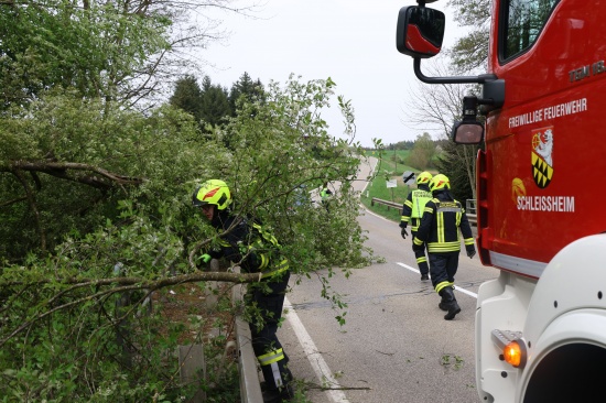 Fhnsturm ber Obersterreich: Rund 80 Einstze der Feuerwehren zumeist aufgrund umgestrzter Bume
