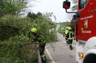 Fhnsturm ber Obersterreich: Rund 80 Einstze der Feuerwehren zumeist aufgrund umgestrzter Bume
