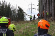 Baum in Hochspannungsleitung: Sechs Feuerwehren bei Waldbrand in Steinbach am Ziehberg im Einsatz