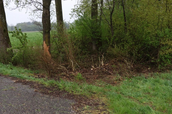 Schwerer Verkehrsunfall bei Wolfern fordert eine verletzte Person
