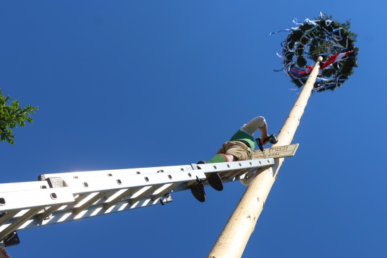 FP: Groes Maibaumfest mit den Menschen am Vogelweiderplatz in Wels-Vogelweide gefeiert