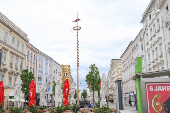 Lachnummer: Maibaum-Ersatzspitze in Wels-Innenstadt nach nur einem Tag schon wieder abgebrochen