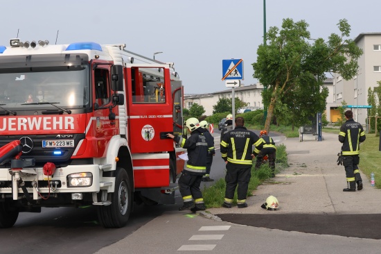 Auto nach Kreuzungscrash in Wels-Vogelweide gegen Baum gekracht