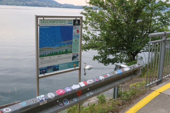 Steinbach am Attersee: Taucher (59) starb bei Aufstieg nach 70-Meter-Tauchgang im Attersee