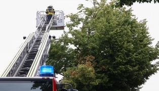 Sturmschaden: Groe ste drohten von Baum in Wels-Vogelweide auf die Strae zu strzen
