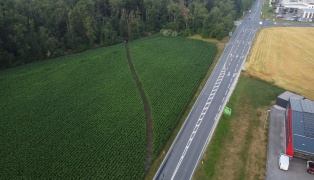 Schneise durch Maisfeld: Auto kracht nach Flucht vor Polizei in Gunskirchen gegen Bume am Waldrand