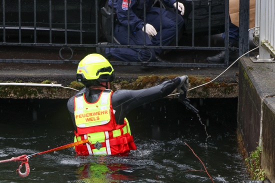 Wels-Innenstadt: Einsatz eines Fliewasserretters bei Sicherstellung einer Waffe im Welser Mhlbach