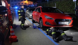 Ktzchen narrte Einsatzkrfte: Samtpfote versteckte sich im Motorraum von gleich drei Fahrzeugen