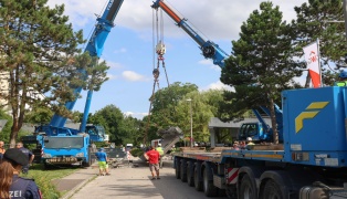 Stundenlang eingeklemmt: Tonnenschwere Brcke in Linz-Kleinmnchen-Auwiesen auf LKW herabgestrzt