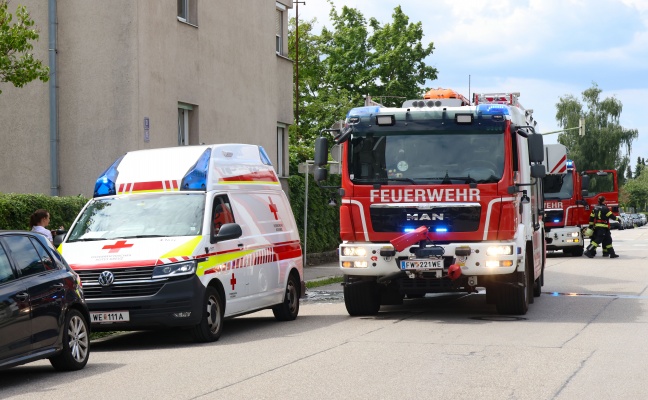 Angebranntes Kochgut: Einsatzkrfte zu Rauchentwicklung aus Fenster in Wels-Neustadt alarmiert