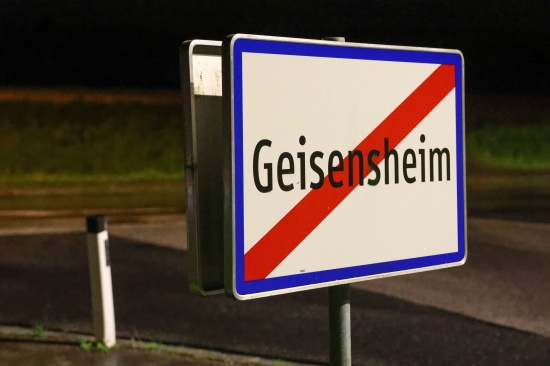 Pichl bei Wels: Feuerwehrleute erblickten whrend Sitzung zwei entlaufene Klber auf Wiese gegenber