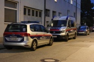 Einsatzkrfte zu Personenrettung bei Gebude in Wels-Neustadt alarmiert