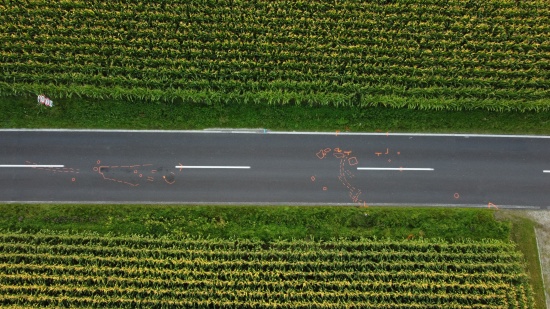 Motorradfahrer (57) bei Verkehrsunfall in Michaelnbach tdlich verunglckt