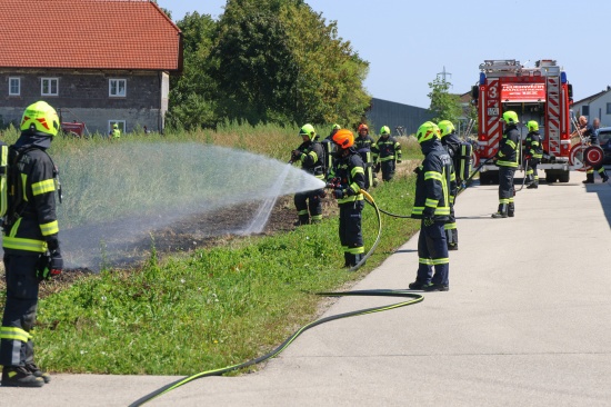 Flurbrand in Marchtrenk sorgte fr Einsatz zweier Feuerwehren