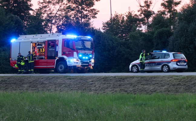Feuerwehr zu vermeintlichem Feldbrand nach Weikirchen an der Traun alarmiert