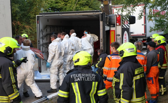 Steinerkirchen an der Traun: Mit Fleisch beladener LKW-Anhnger in Kurvenbereich umgestrzt