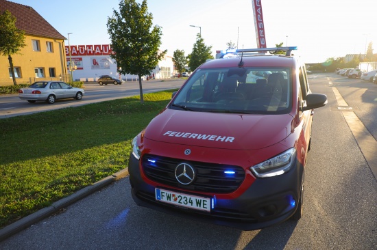Einsatzkrfte der Feuerwehr bei Suche nach einer kleinen Schlange in Wels-Neustadt im Einsatz