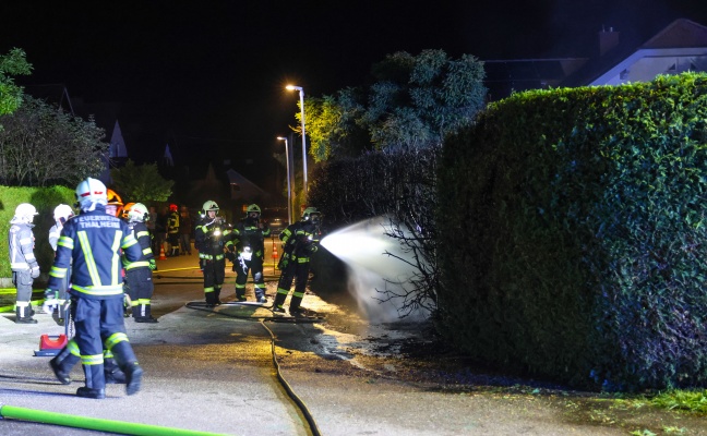 Brand einer Thujenhecke sorgte fr Einsatz der Feuerwehr und der Polizei in Thalheim bei Wels