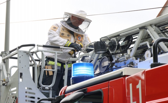 Hornissennest: Verstopfter Kamin sorgt fr verrauchtes Wohnhaus in Wels-Pernau