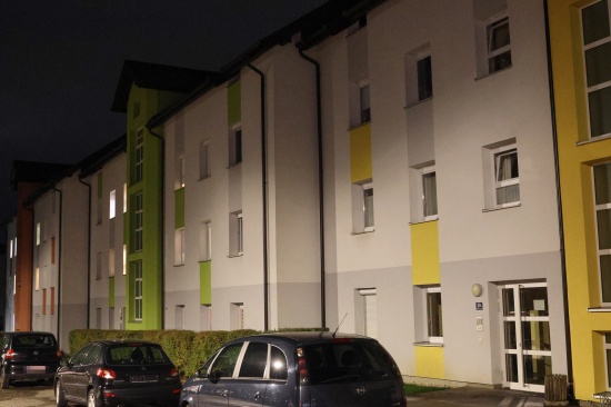 Zwei Katzen bei Brand in einer Mehrparteienhauswohnung in Vcklabruck umgekommen