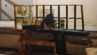 Feuerwehr im Einsatz: Kleinerer Brand bei Tischlerei in Nubach rasch abgelscht