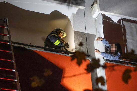 Tierrettung: Kater durch Einsatzkrfte der Feuerwehr in Wels-Lichtenegg vom Nachbarbalkon gerettet