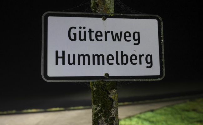 Tdlicher Sturz: Frau (64) in Steinerkirchen an der Traun von Hund umgerannt