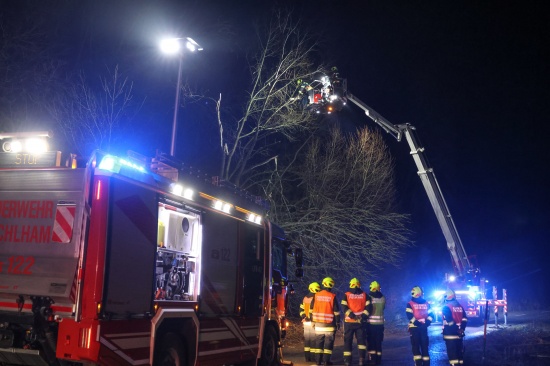 Baum umgestrzt: Feuerwehr mit Teleskopmastbhne in Steinerkirchen an der Traun im Einsatz