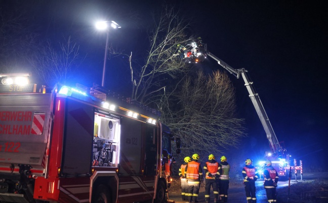 Baum umgestrzt: Feuerwehr mit Teleskopmastbhne in Steinerkirchen an der Traun im Einsatz