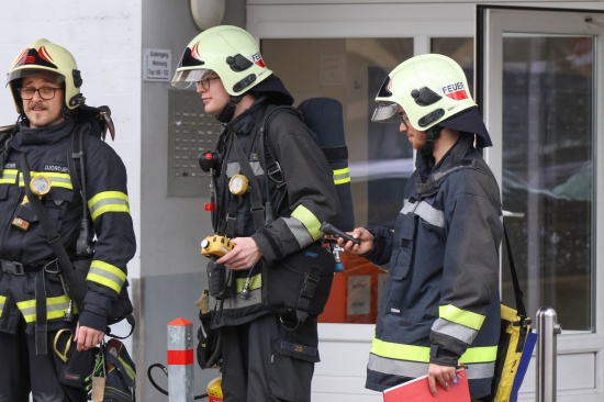 Gemeldeter Gasgeruch in einem Hochhaus in Wels-Neustadt stellte sich als Fehlalarm heraus