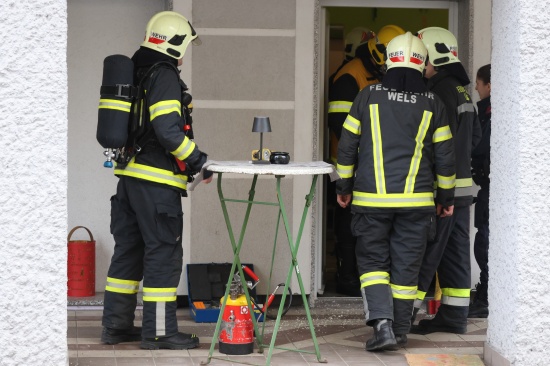Herd eingeschalten, Hund im Gebude: Dringende Trffnung bei Unternehmen in Wels-Vogelweide