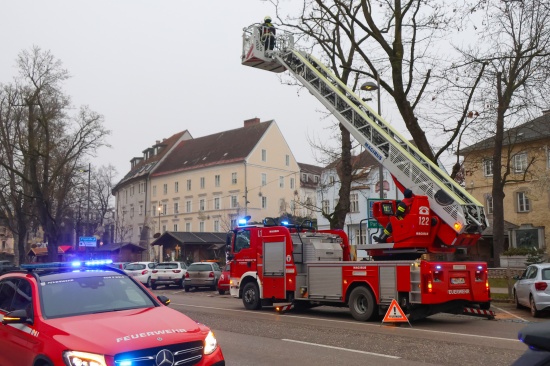 Drohnenbergung: Flugger�t mit Drehleiter der Feuerwehr von Baum in Wels-Innenstadt geholt