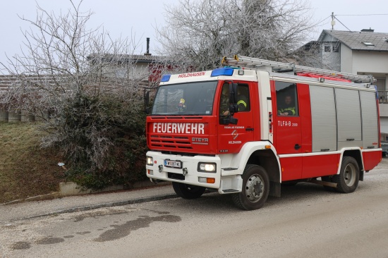 Tierbergung: Reh in einem Garten in Holzhausen in Pool gest�rzt