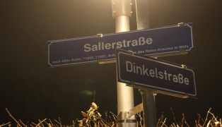 Brand eines Christbaums in Wels-Vogelweide bereits durch Nachbarn gel�scht