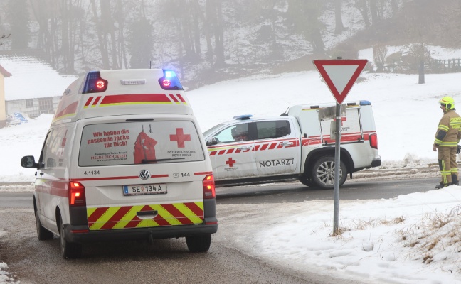 Nach Forstunfall: Schwerstverletzter (71) erlag im Klinikum seinen schweren Verletzungen