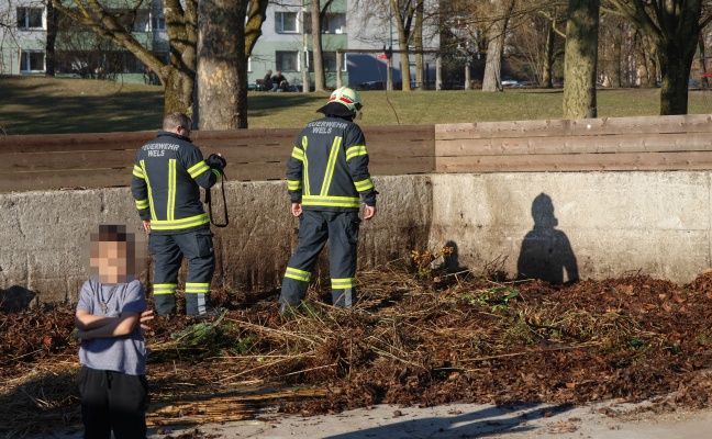 Feuerwehr und Polizei bei Brand einer Gr�nschnittsammelstelle in Wels-Lichtenegg im Einsatz