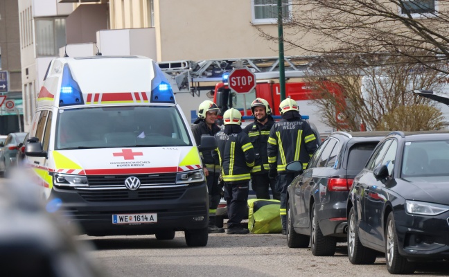 Gestikulierende Person: Nachbar bef�rchtete Notlage in einem Mehrparteienwohnhaus in Wels-Neustadt