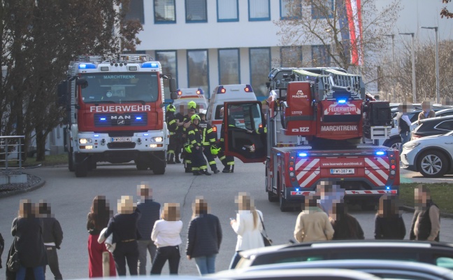 Brand bei einem Unternehmen in Marchtrenk sorgte f�r Einsatz zweier Feuerwehren sowie der Rettung